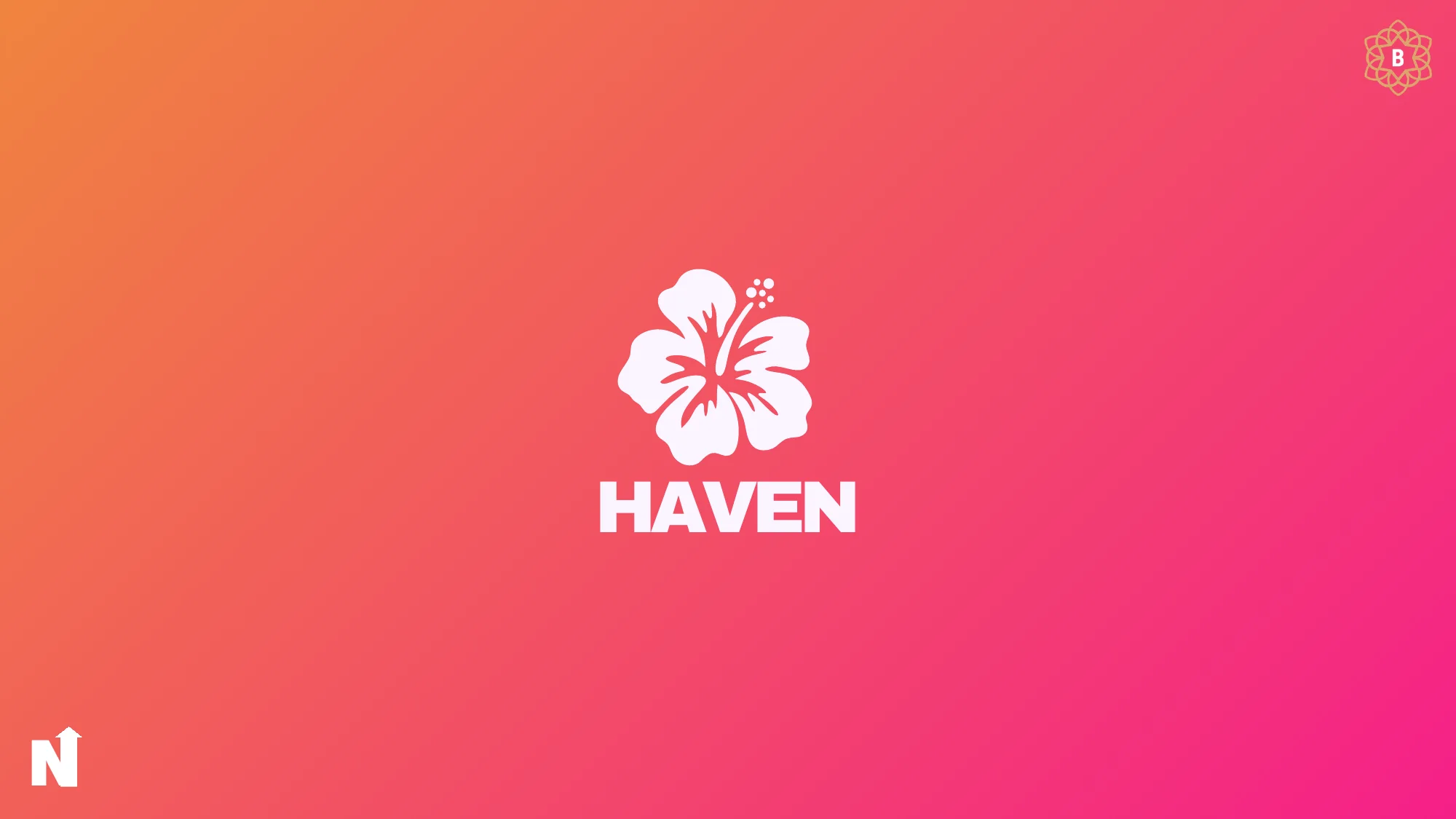 HAVEN pitch deck cover