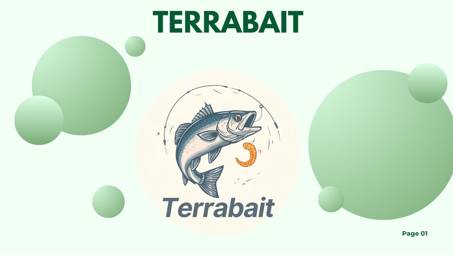 Terrabait fishing bait project cover